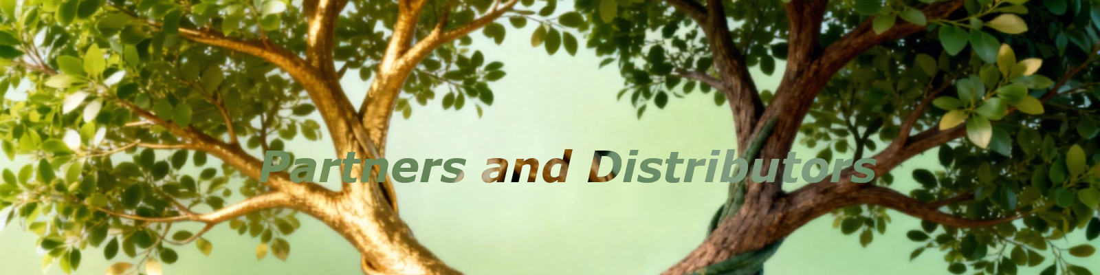 camera module partners and distributors